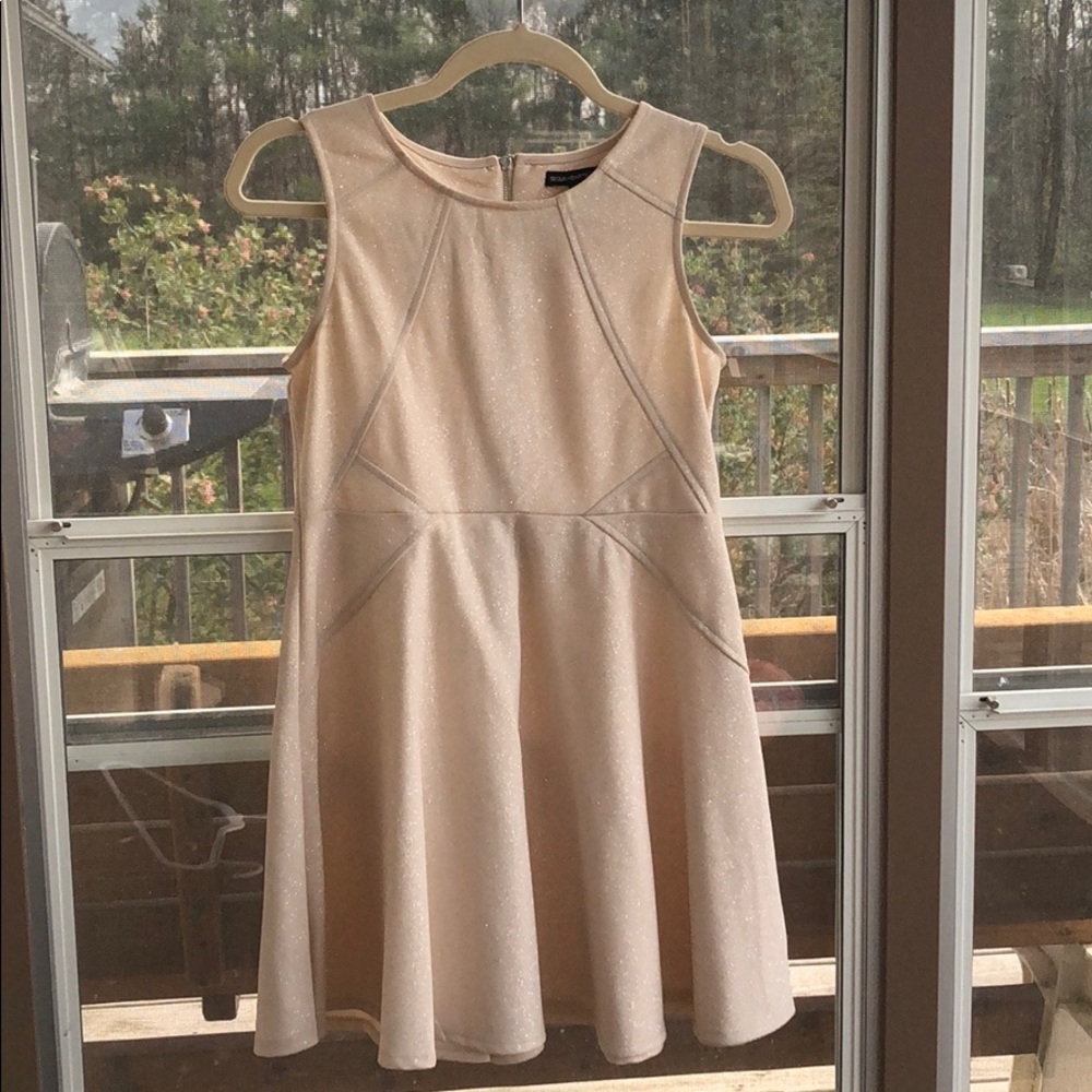 Silver/Blush Sparkle Homecoming Dress